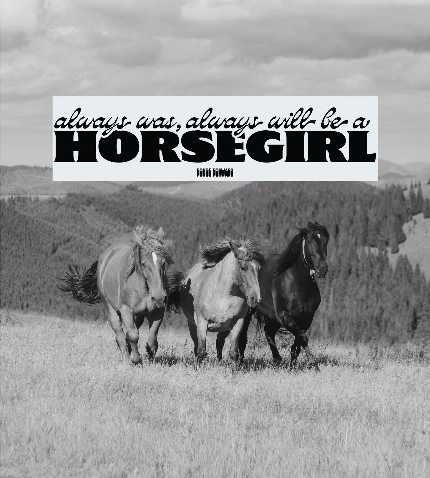 Always Will Be A Horsegirl Bumper Sticker