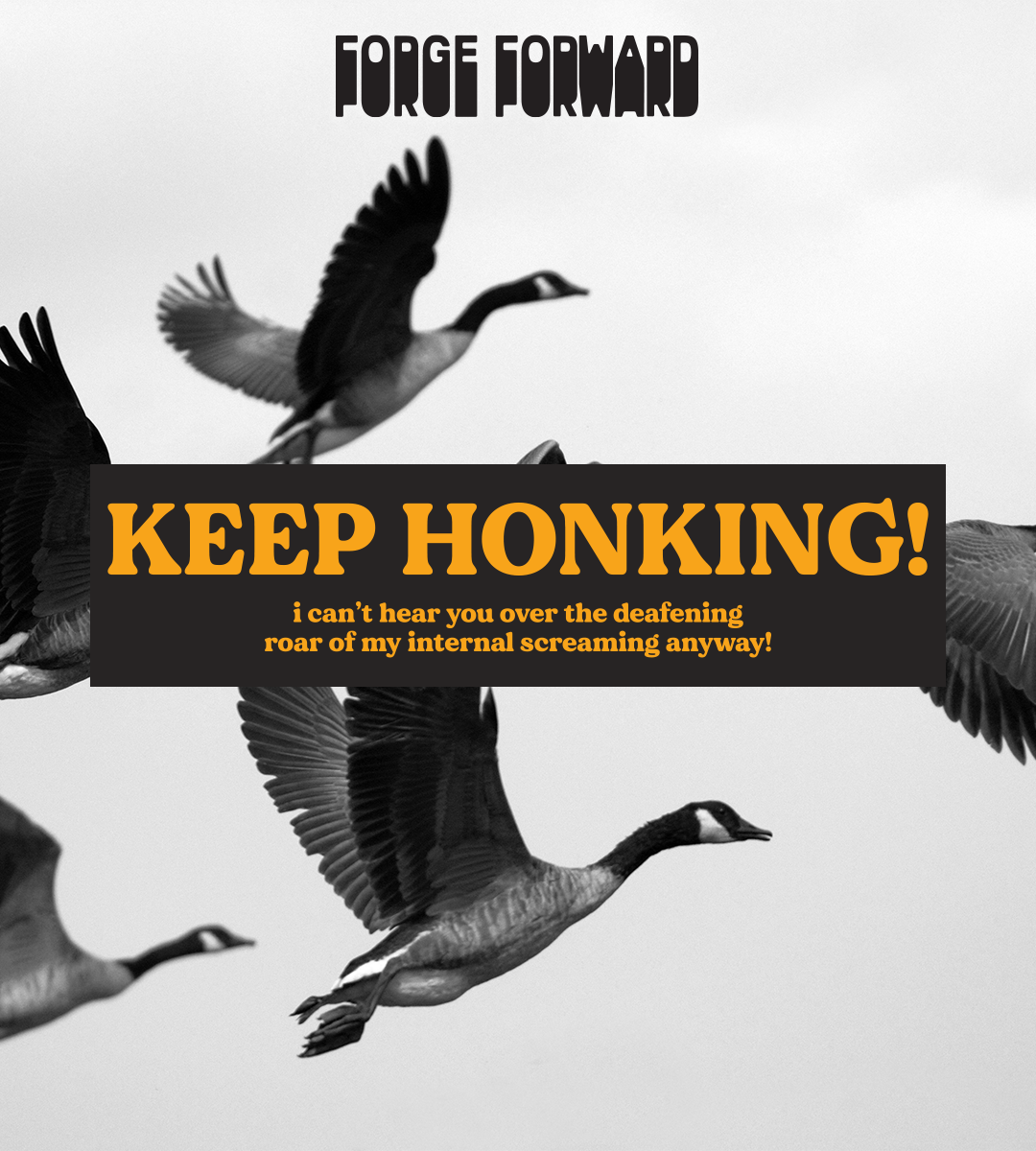 KEEP HONKING! i can't hear you over the deafening roar of my internal screaming anyway