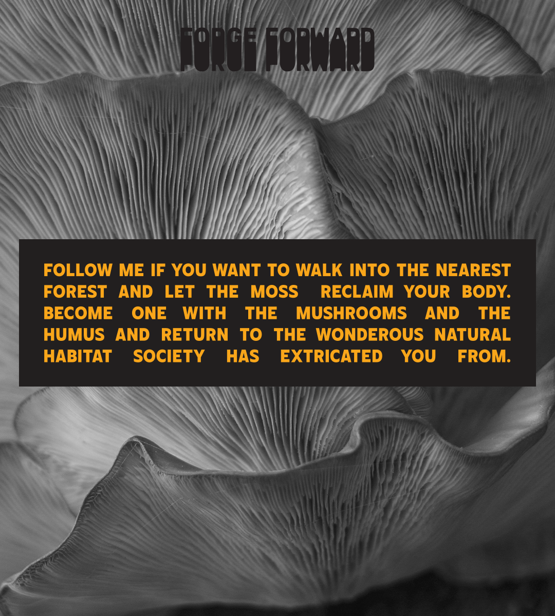 Let The Mushrooms Reclaim You Bumper Sticker