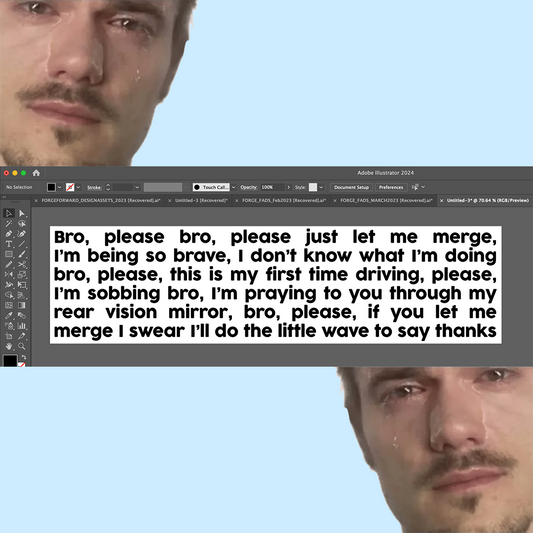 Please Bro Bumper Sticker