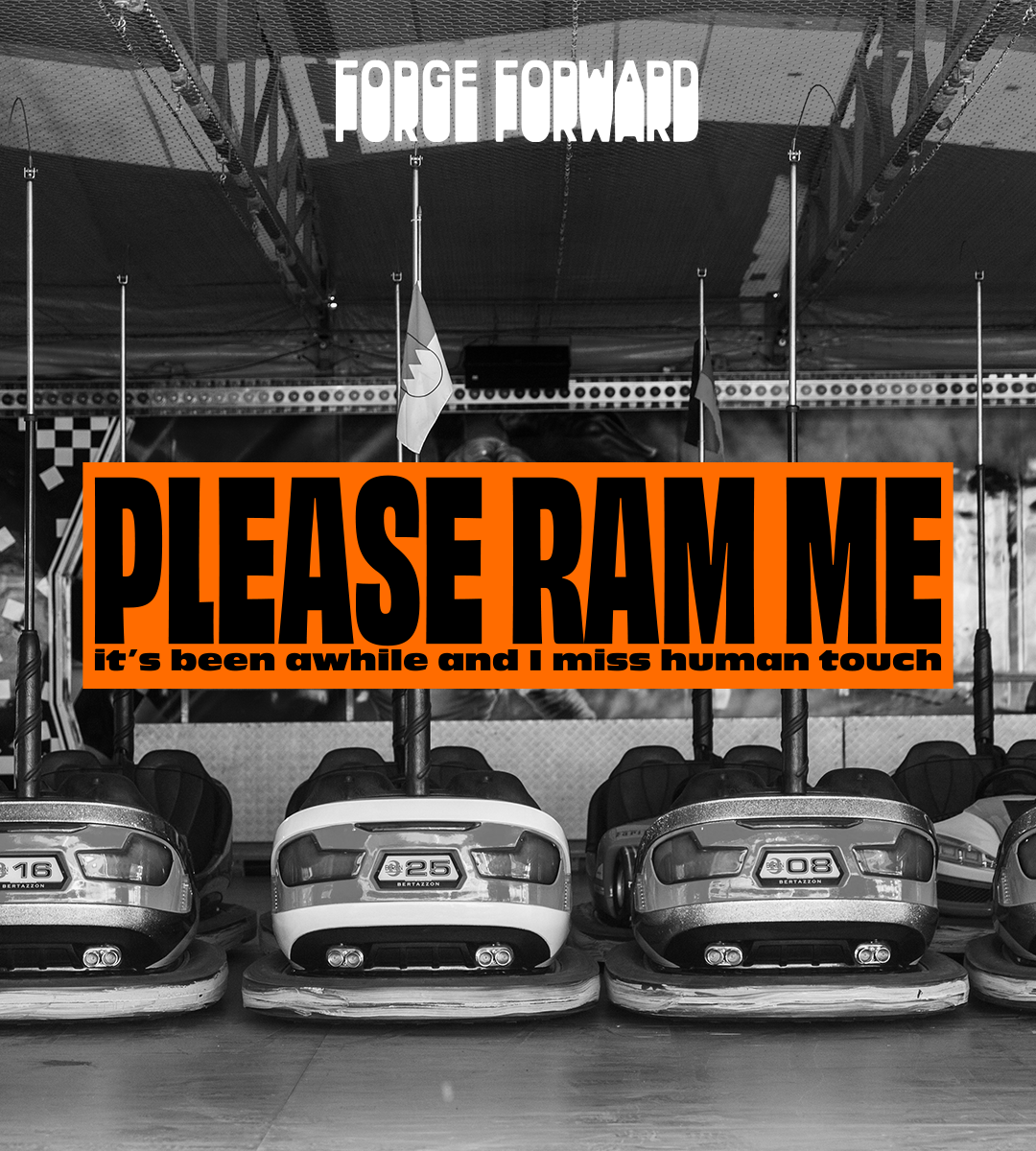 PLEASE RAM ME Bumper Sticker