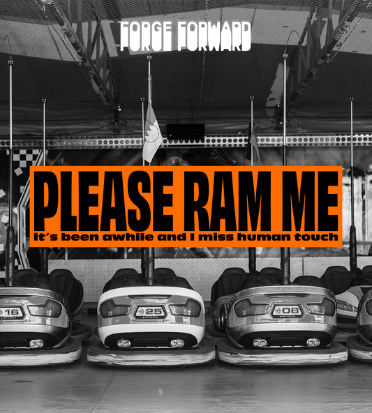 PLEASE RAM ME Bumper Sticker