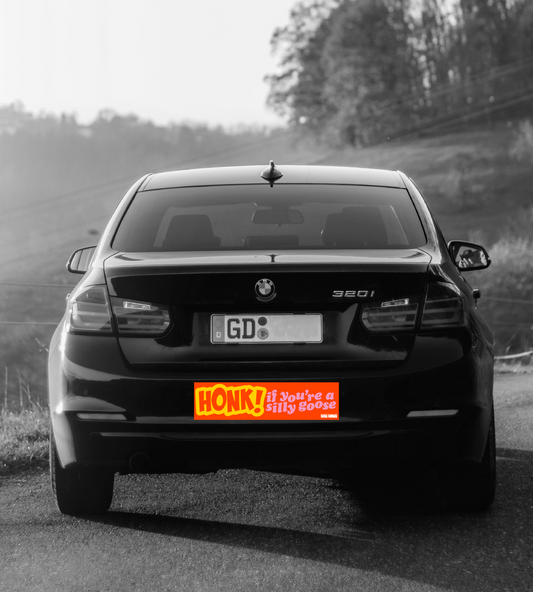 HONK If You're a Silly Goose Bumper Sticker