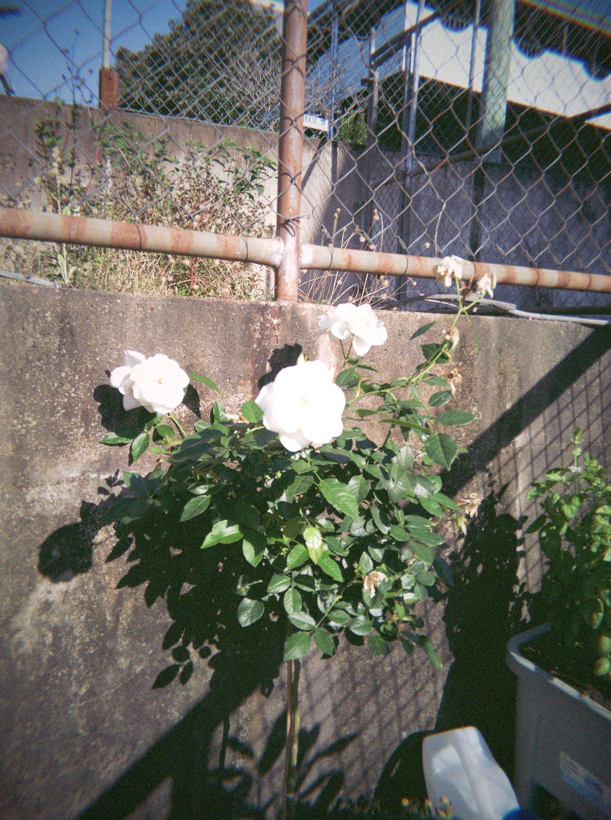 SUNDRUNK Photo Zine