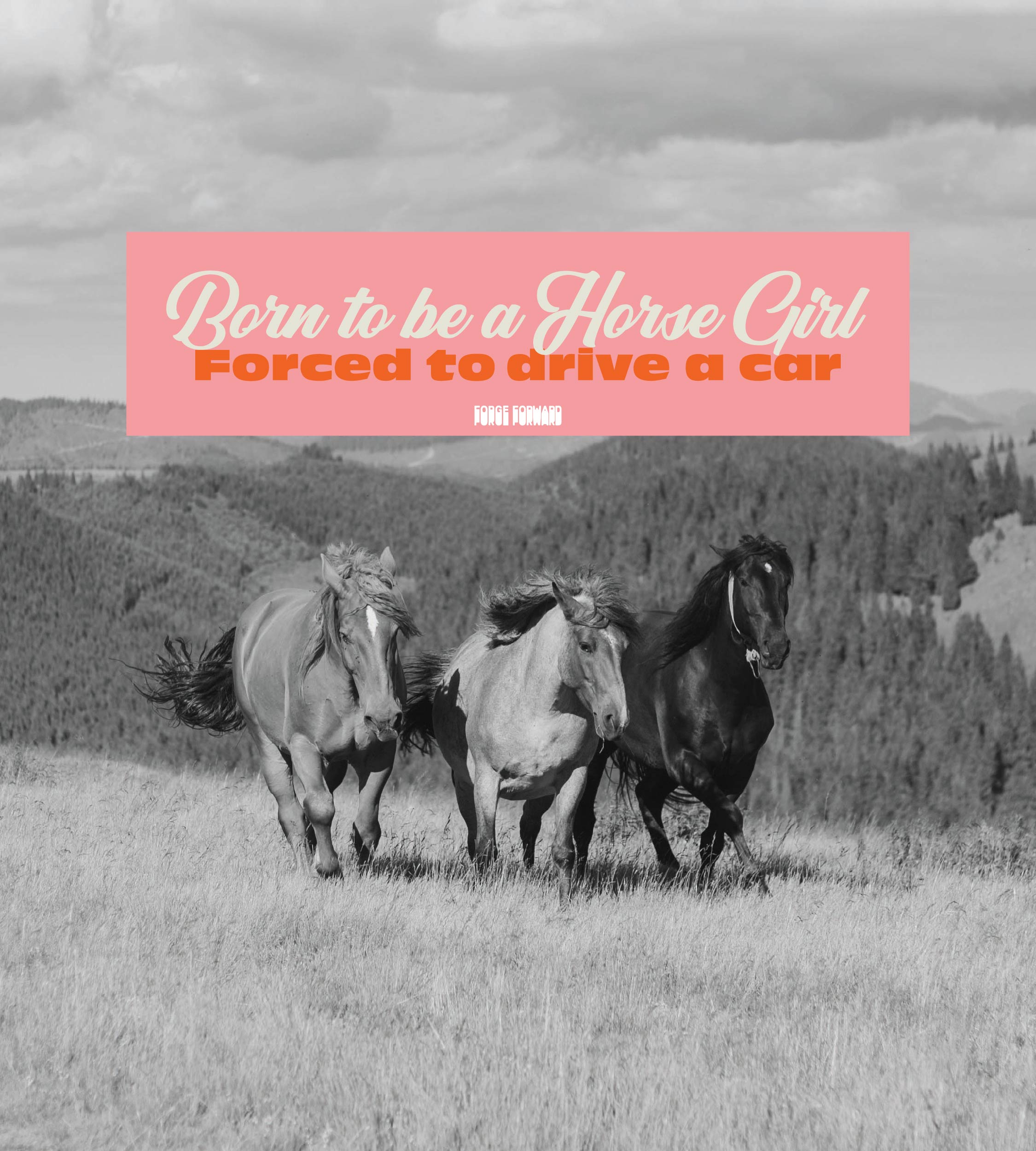 Born to be a Horsegirl, Forced to Drive a Car Bumper Sticker