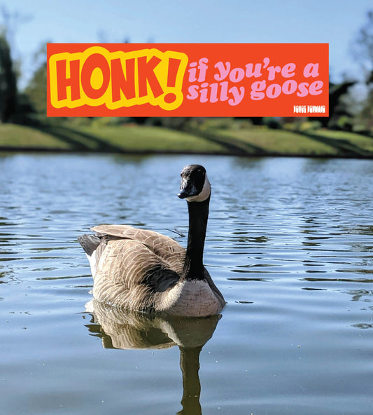 HONK If You're a Silly Goose Bumper Sticker