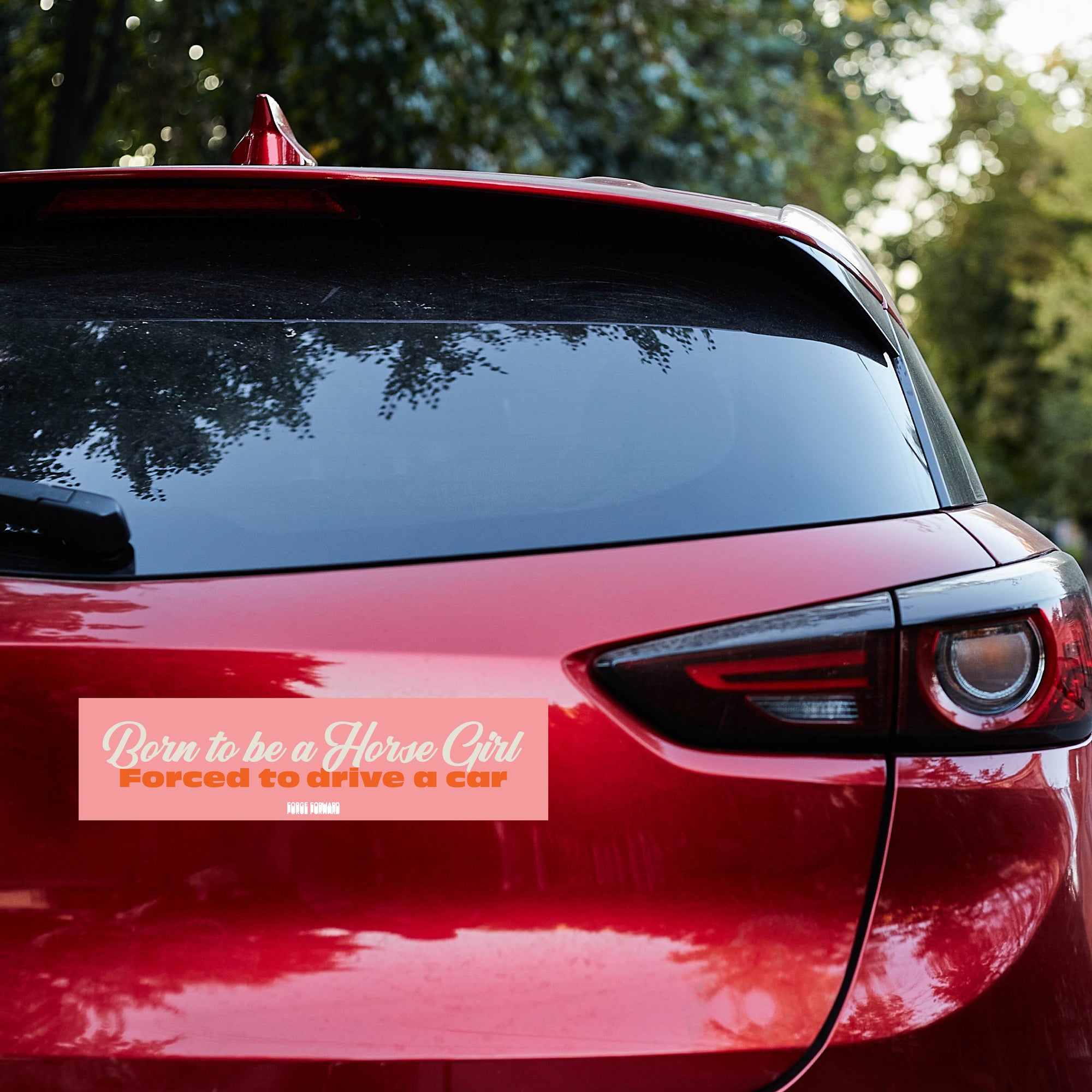 Born to be a Horsegirl, Forced to Drive a Car Bumper Sticker