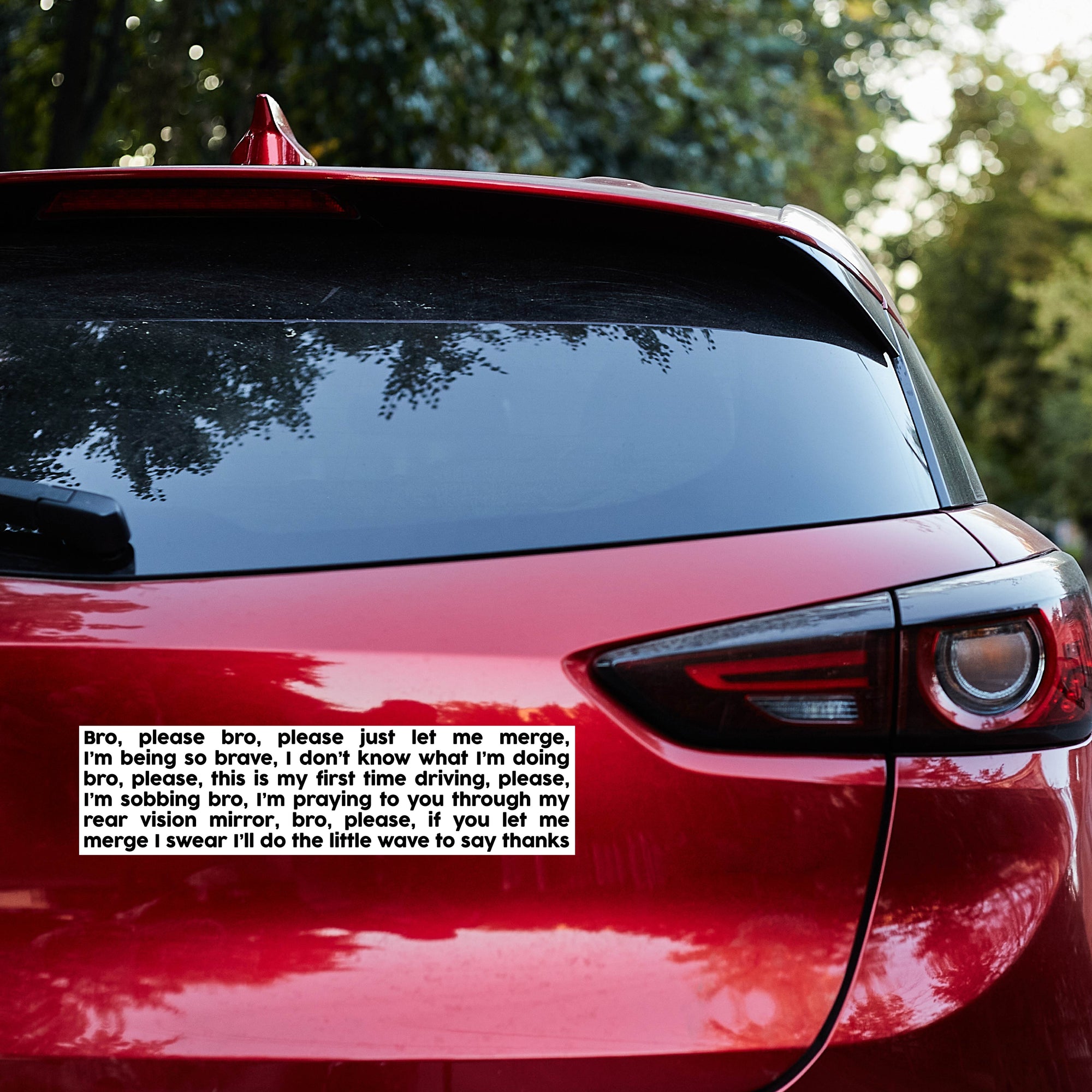 Please Bro Bumper Sticker