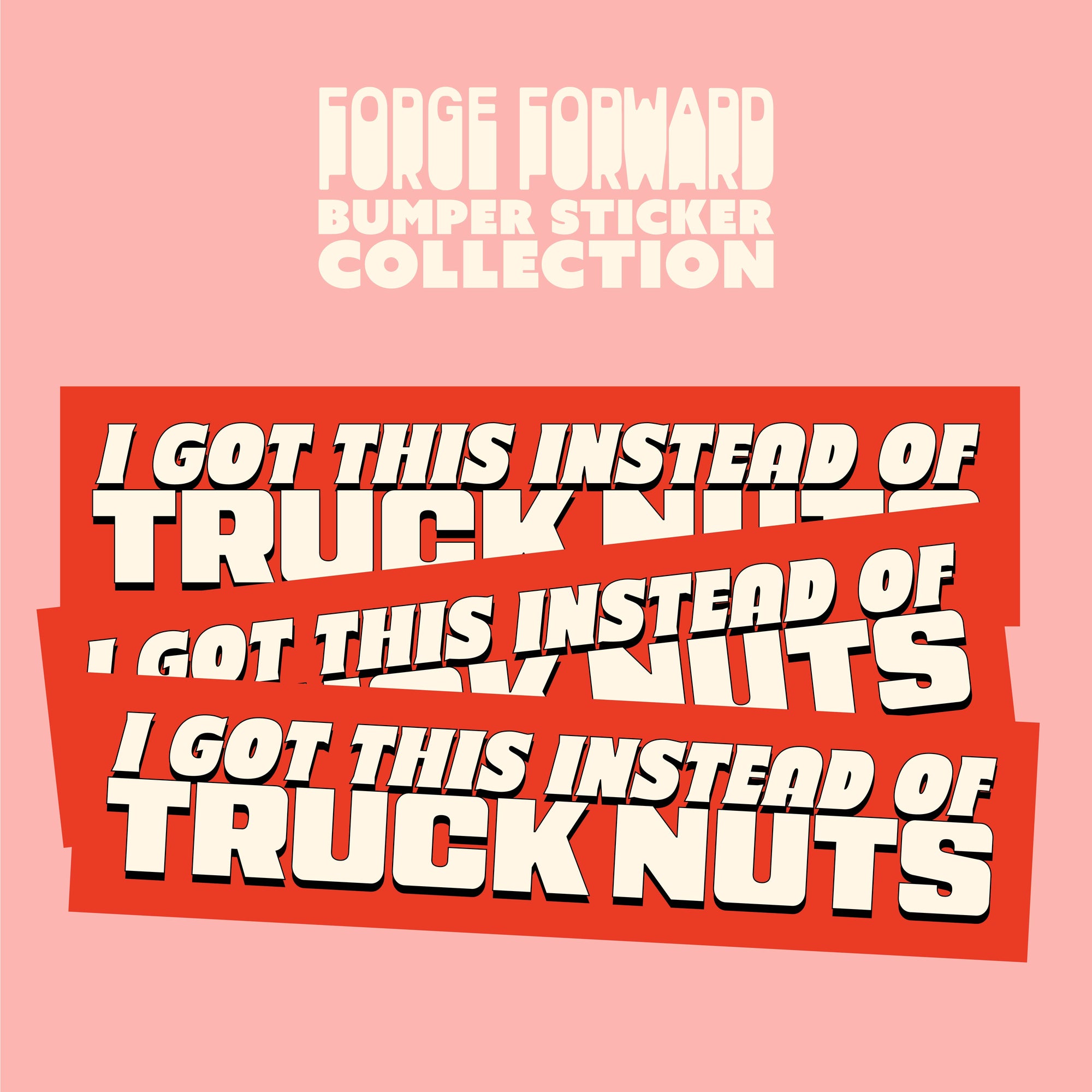 I Got This Instead of Truck Nuts Bumper Sticker