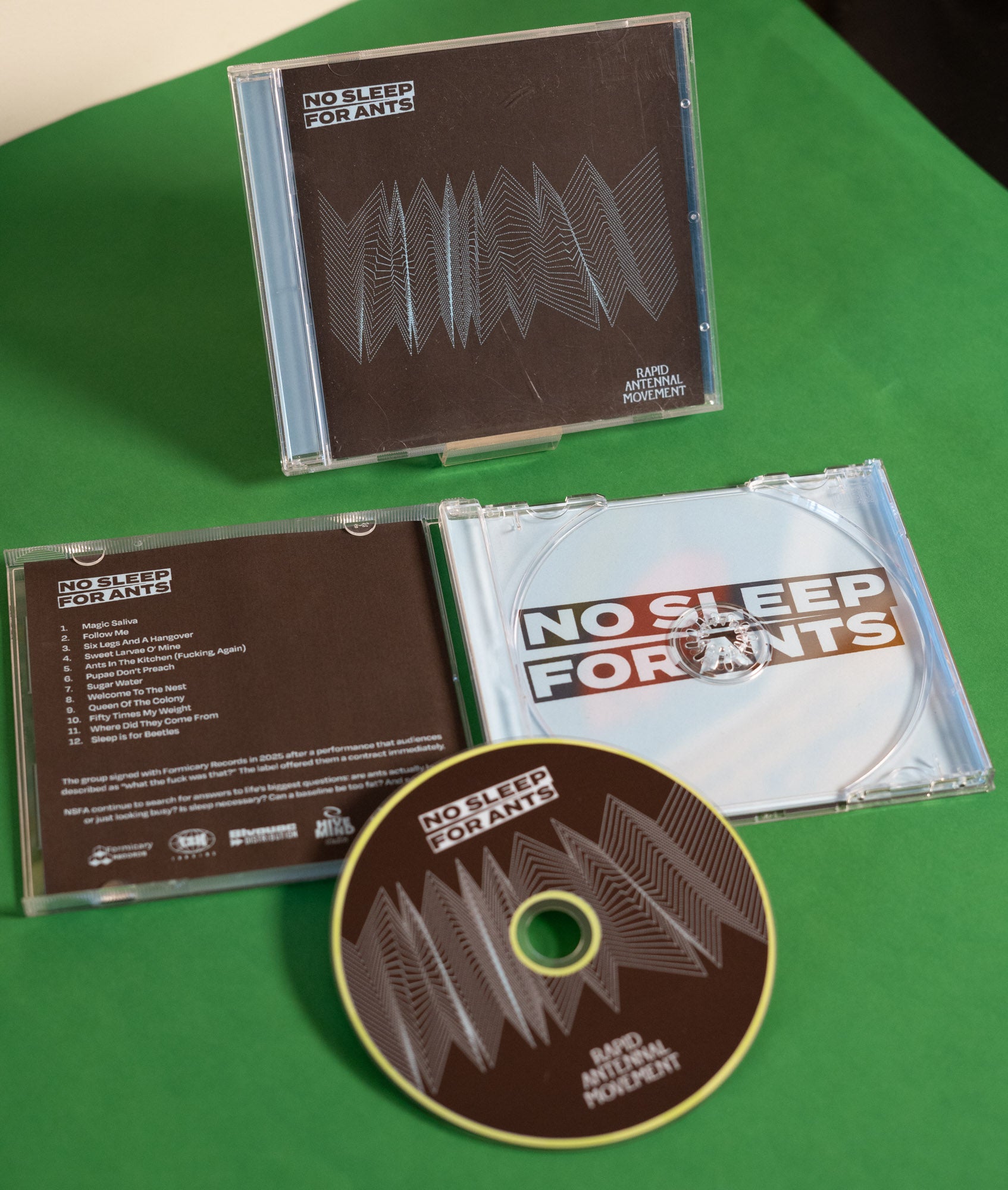 NO SLEE FOR ANTS | Fake Band Fake Debut Album CD Zine