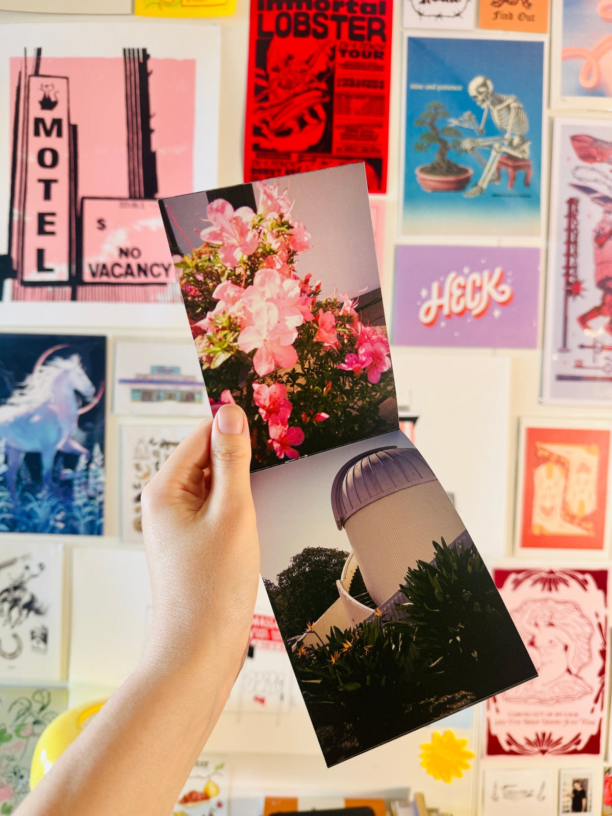 SUNDRUNK | A6 Photo Zine
