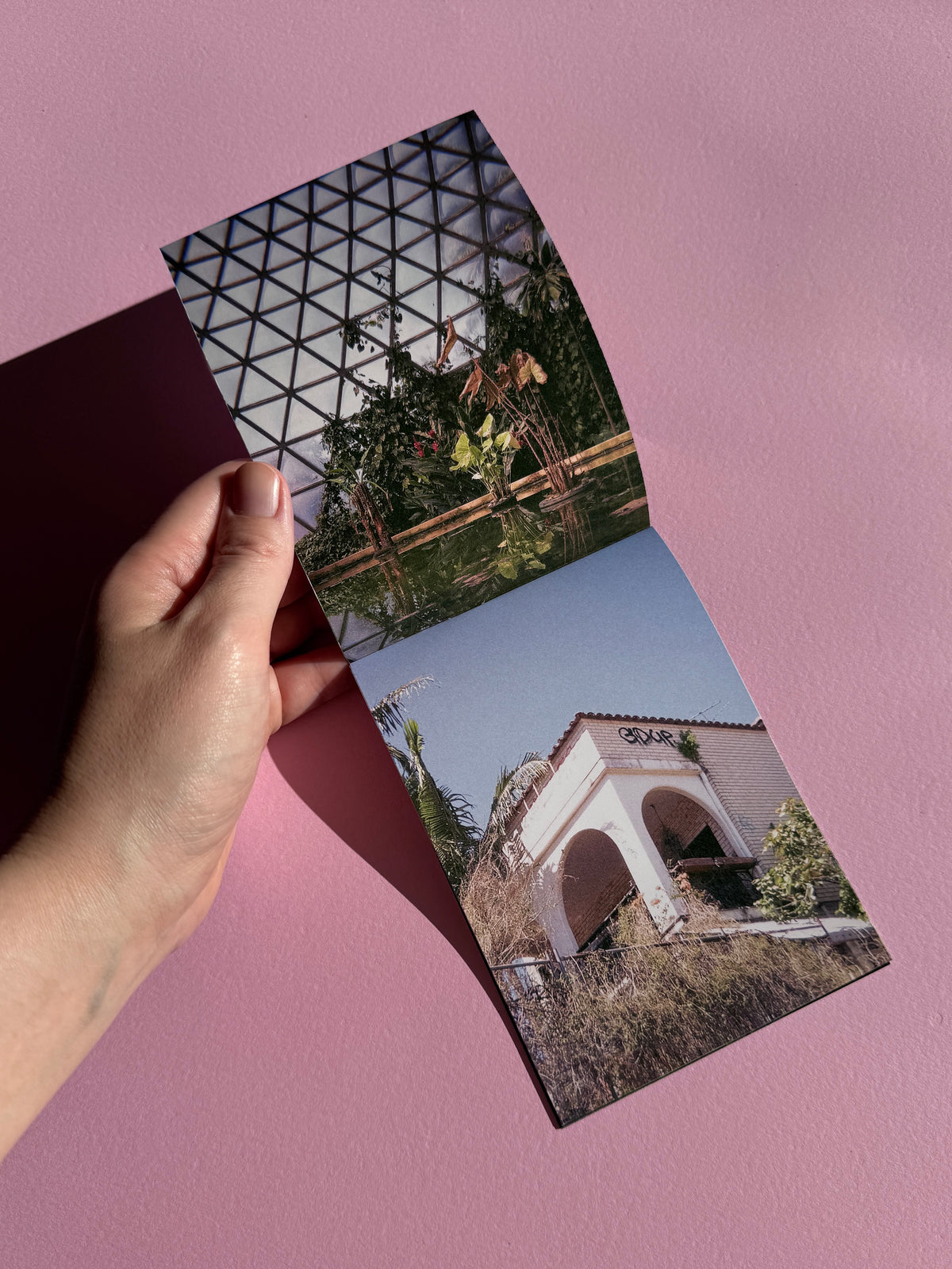 SUNDRUNK | A6 Photo Zine